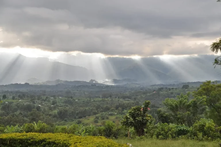 Gebirge Uganda