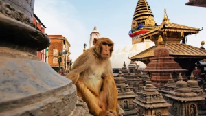13 Tipps zu Nepal Reisen