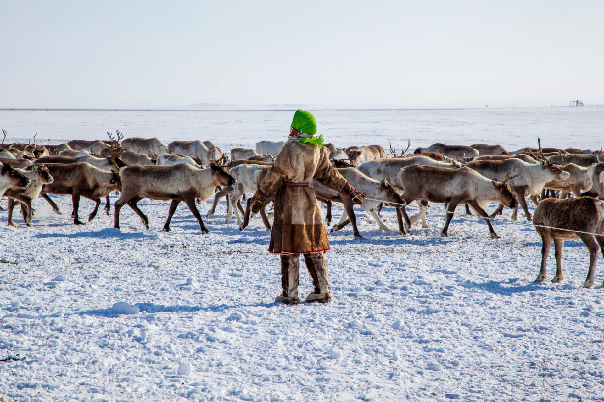 Lappland Winterreisen in den Norden