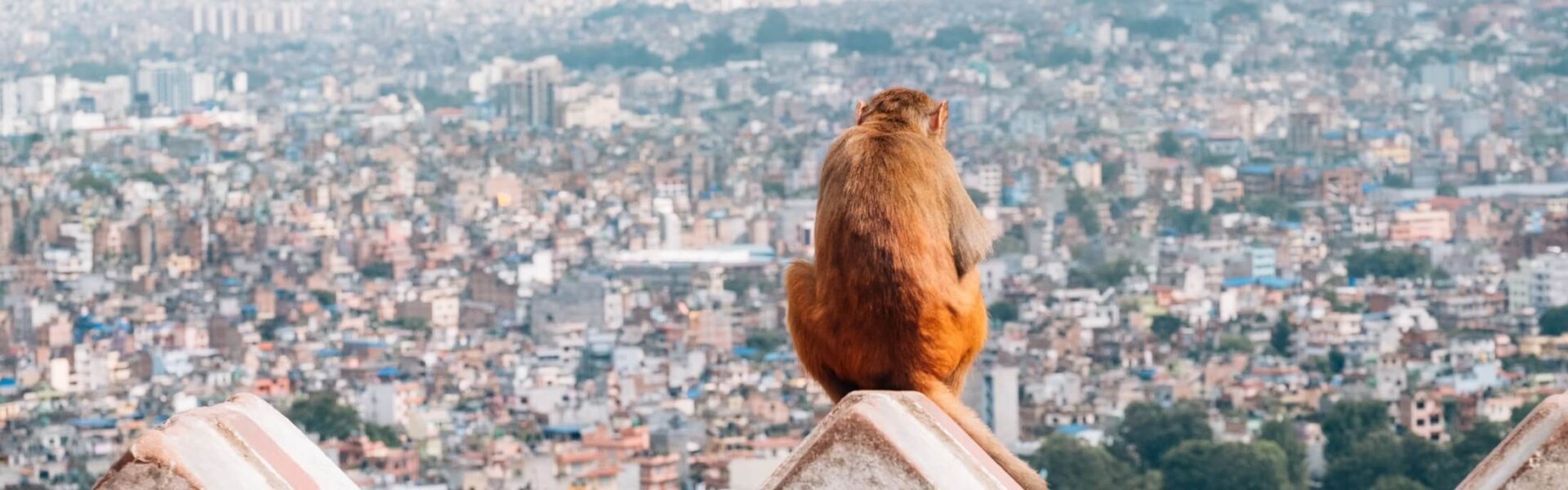 13 Tipps zu Nepal Reise