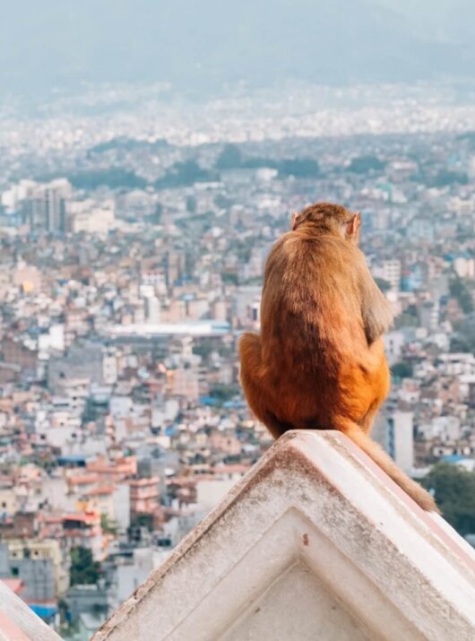 13 Tipps zu Nepal Reise