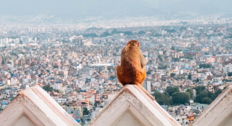 13 Tipps zu Nepal Reise