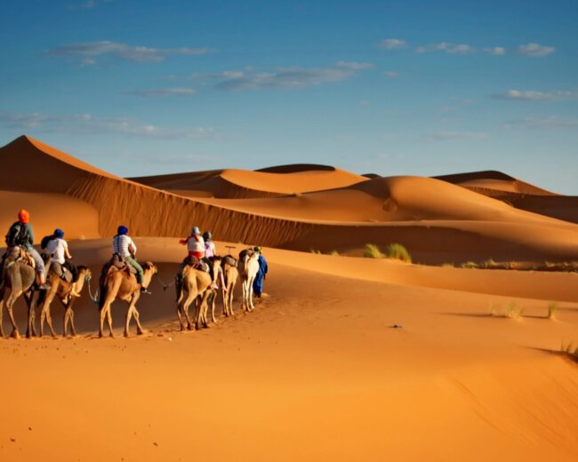 Oman Kamel Wüste Reise buchen