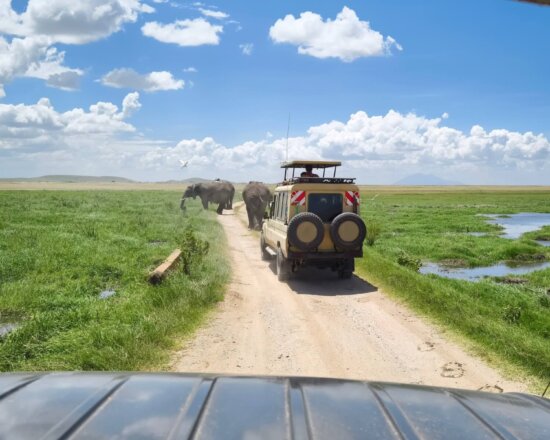 Reiseveranstalter für Kenia Reisen