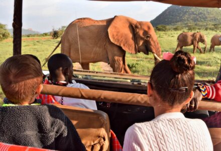 Safari mit Kindern