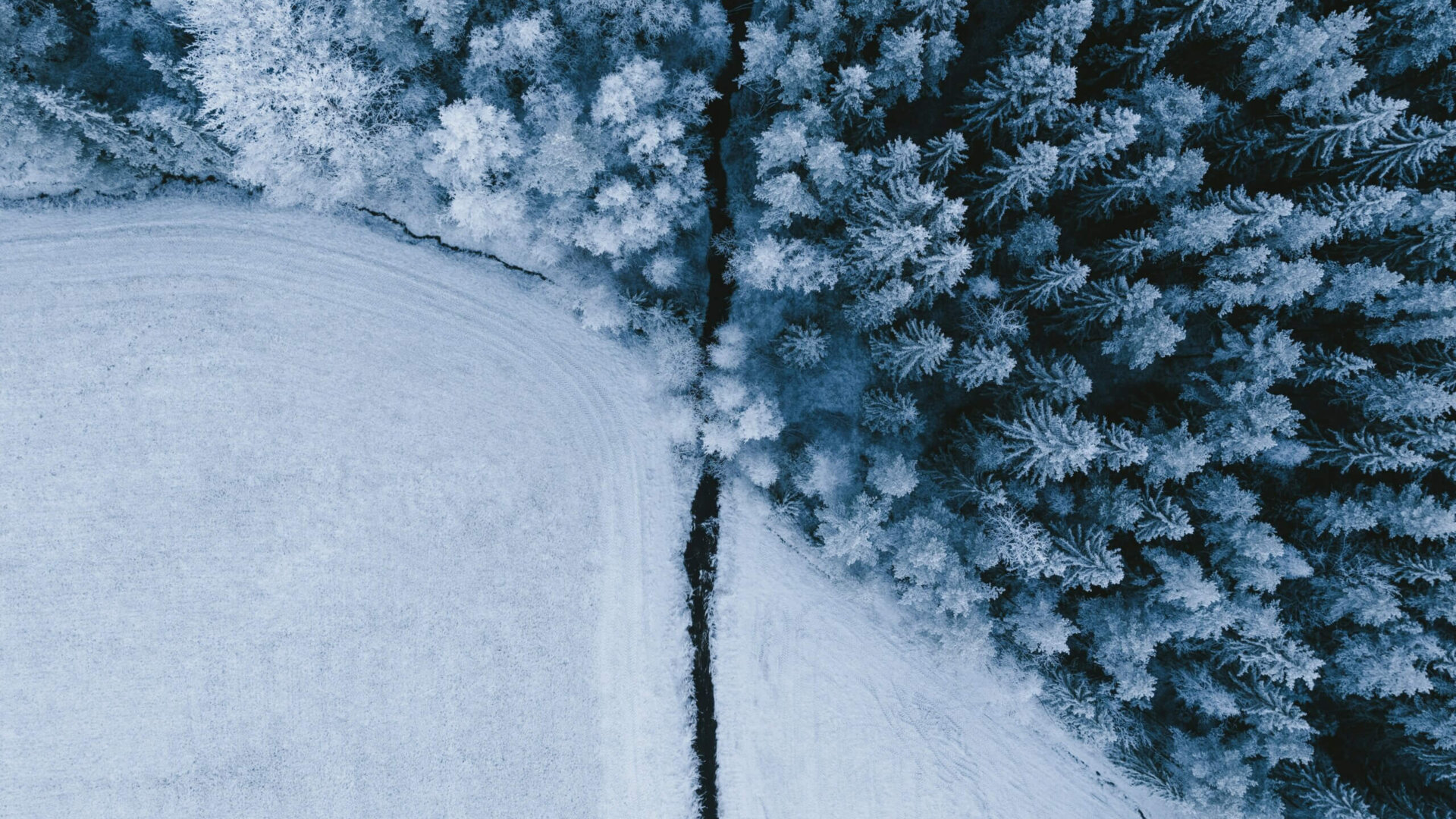 Winter, Vogelperspektive, Schnee Bäume von oben