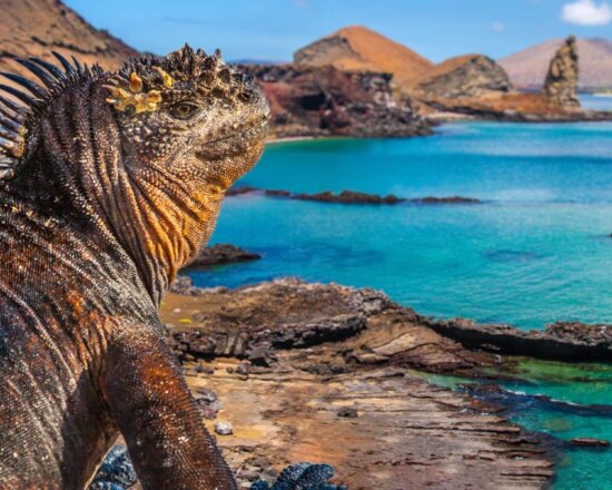 Galapagos Inseln auf einer Ecuador Reise