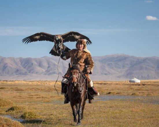 Touren in der Mongolei mit Pferd