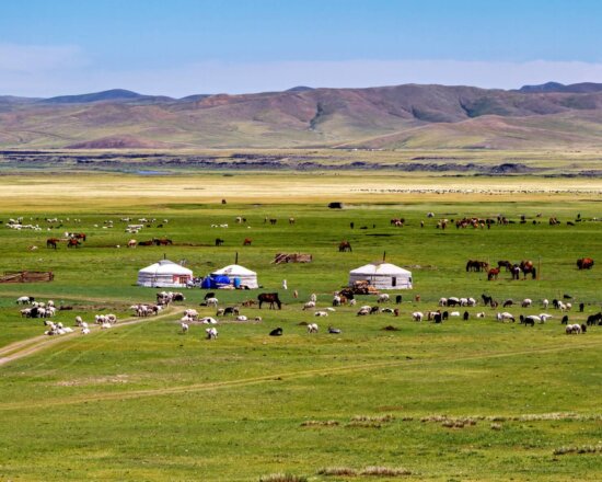 nachhaltig in der Mongolei Reisen