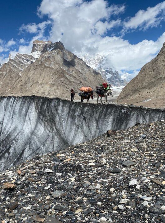 Pakistan Karakorum Maultiere