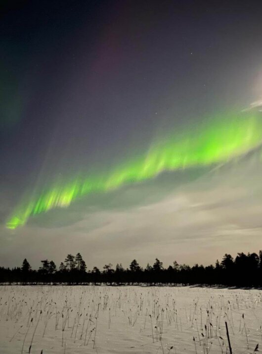 Polarlicht in Schweden