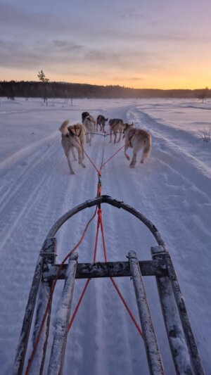 Bild Reisebericht Kerstin