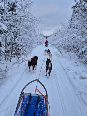 Husky Schneemobiltour Rico25