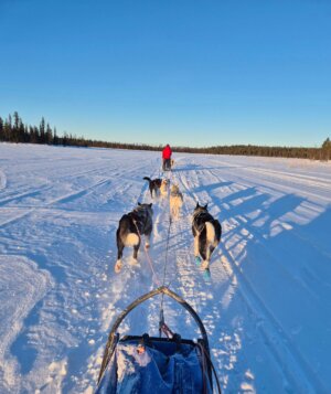 Husky Schneemobiltour Rico26