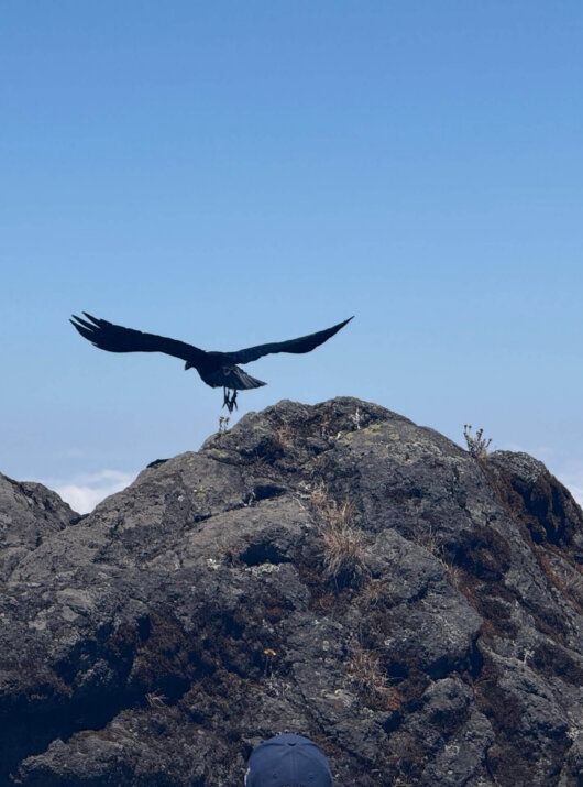 Kilimanjaro Besteigung