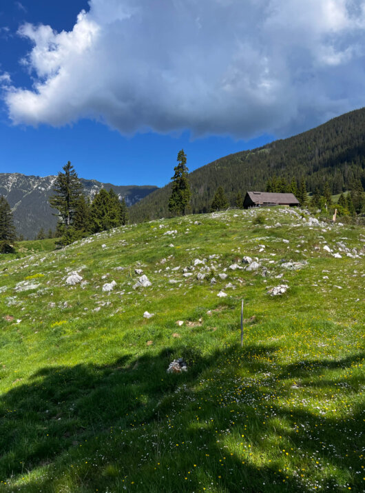 Rumänien Wanderung Karpaten