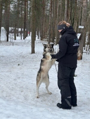 Huskycamp