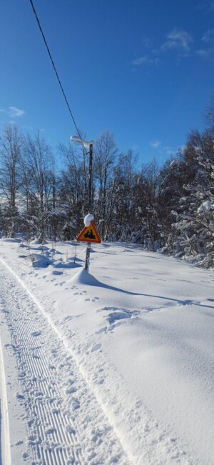 Landschaft