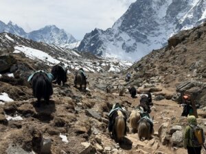 Reisebericht Nepal (11)