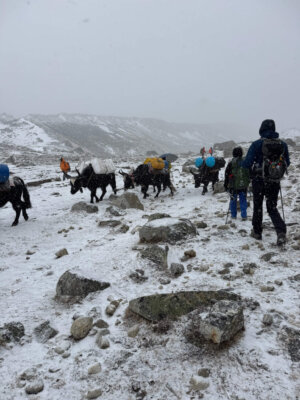 Reisebericht Nepal (13)