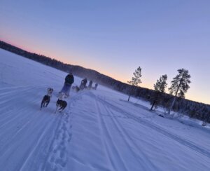 Reisebericht Schweden (5)
