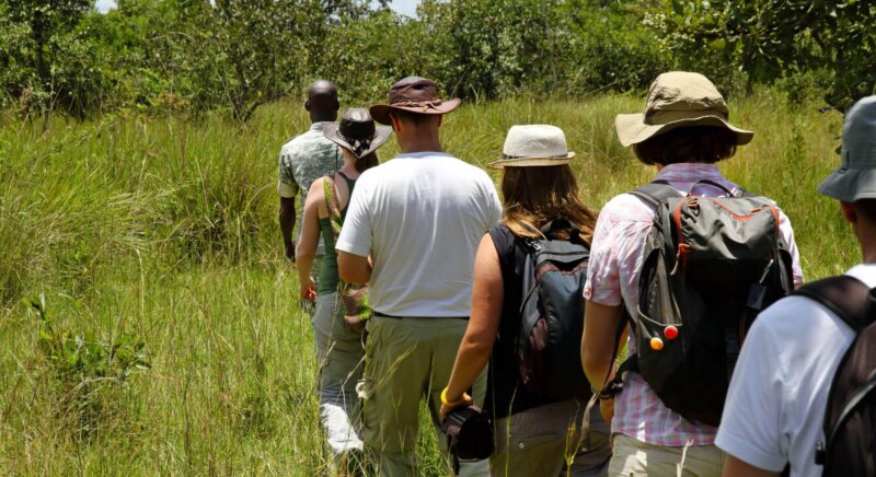 Gorilla Tracking Uganda Safari Reise