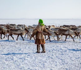 Lappland Winterreisen in den Norden
