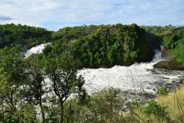murchison falls uganda