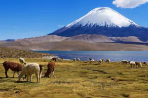 Chile Bergsteigen Expedition