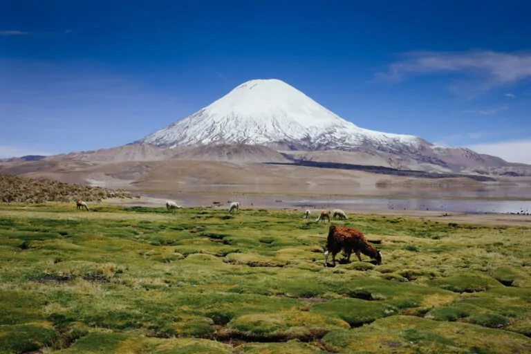 Parinacota Chile Berge
