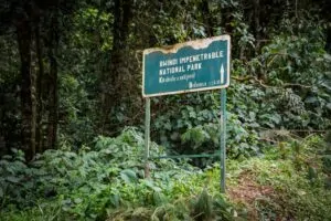 Bwindi National Park