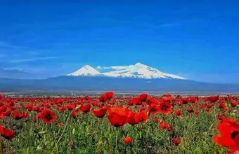 Ararat Berg